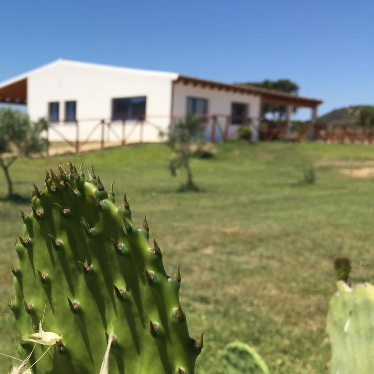 Agriturismo Mieleamaro Villa Olbia Kültér fotó