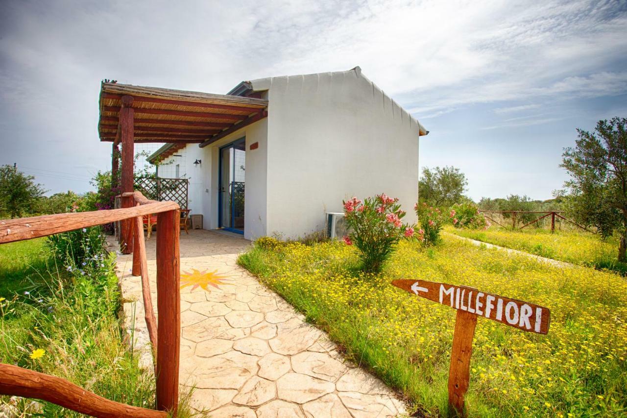 Agriturismo Mieleamaro Villa Olbia Kültér fotó