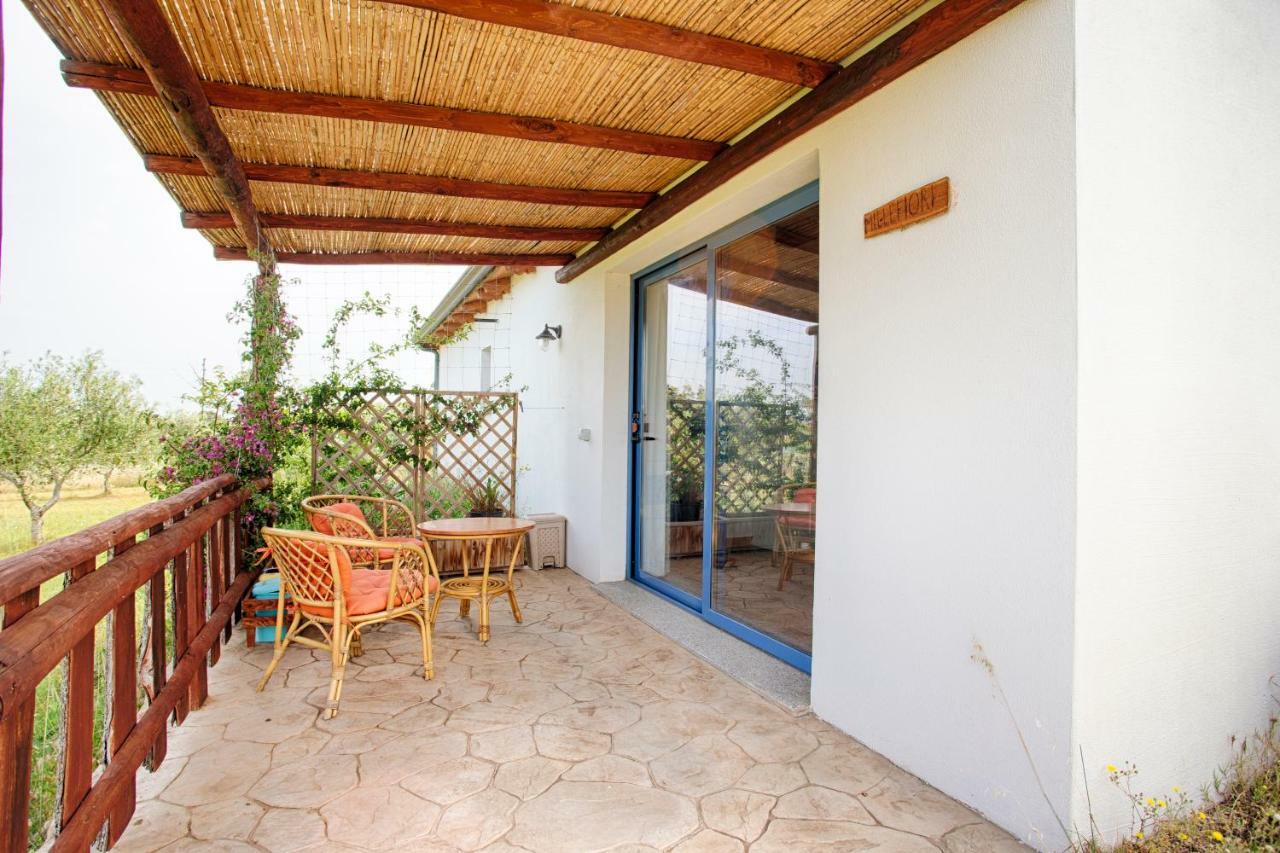 Agriturismo Mieleamaro Villa Olbia Kültér fotó